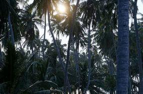 Ein kurzer Augenblick