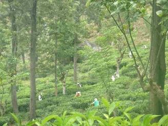 Bilder von meiner Reise nach dem Praktikum