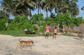 Titelbild. Kleine Mysterien