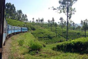 Ceylon von seiner schonsten Seite