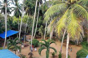  beim Spielen im Garten