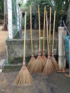 Der t&auml;gliche Begleiter