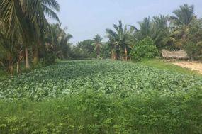 Unser Ausflug nach Kalpitiya 